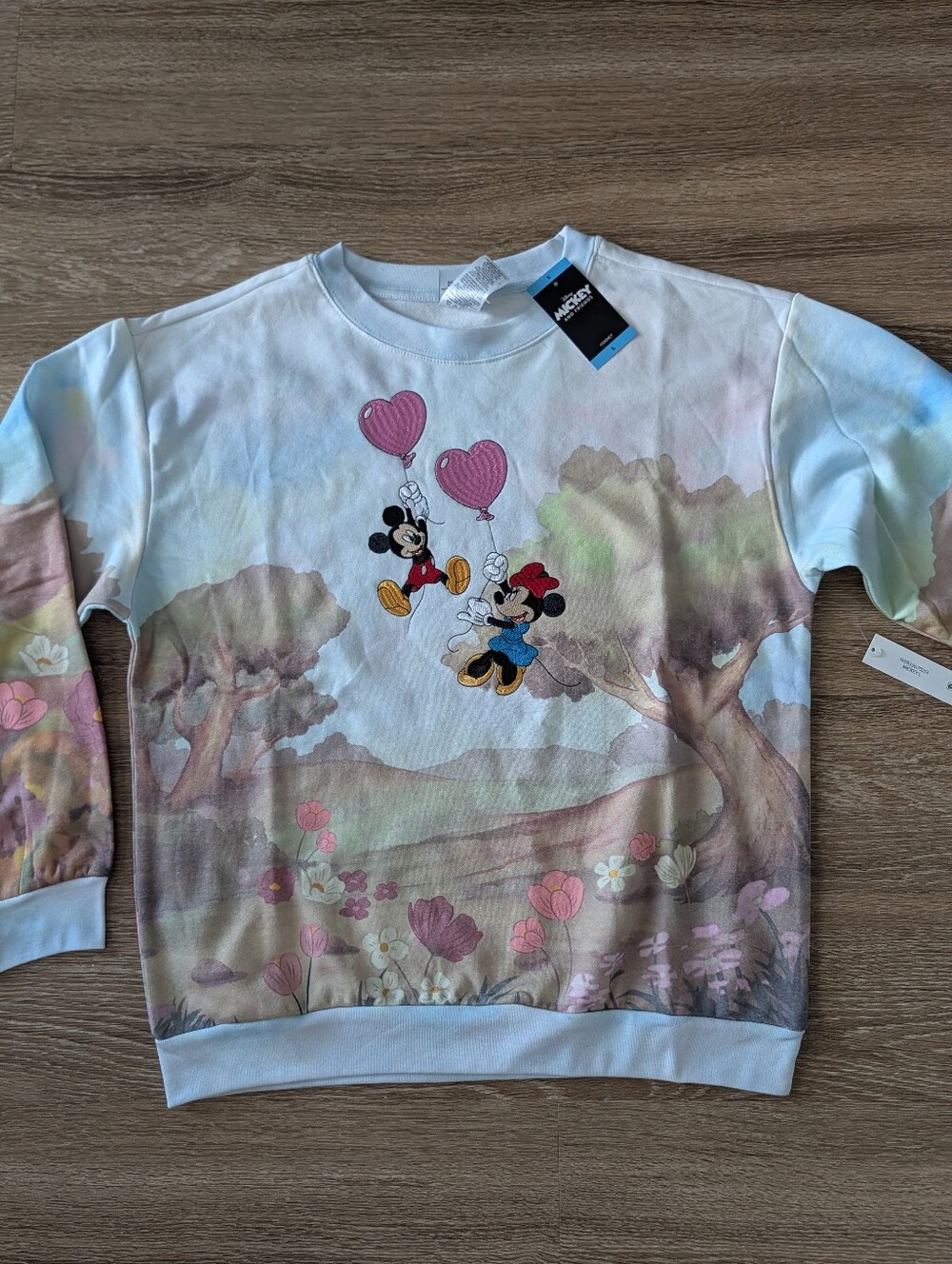 NWT Disney Mickey Minnie Heart Balloon Watercolor Sweatshirt L | Disneycore
